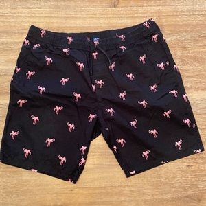 Black Flamingo Shorts
